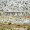 Architecture Inspired by Birds: Fundación Cosmos and the Wetland Parks of Chile - Image 7 of 25